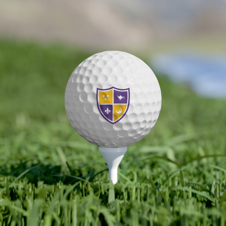 SAE Golf Balls, 6pcs
