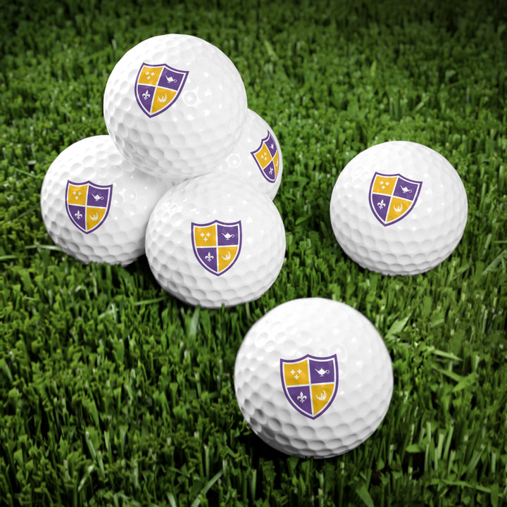 SAE Golf Balls, 6pcs
