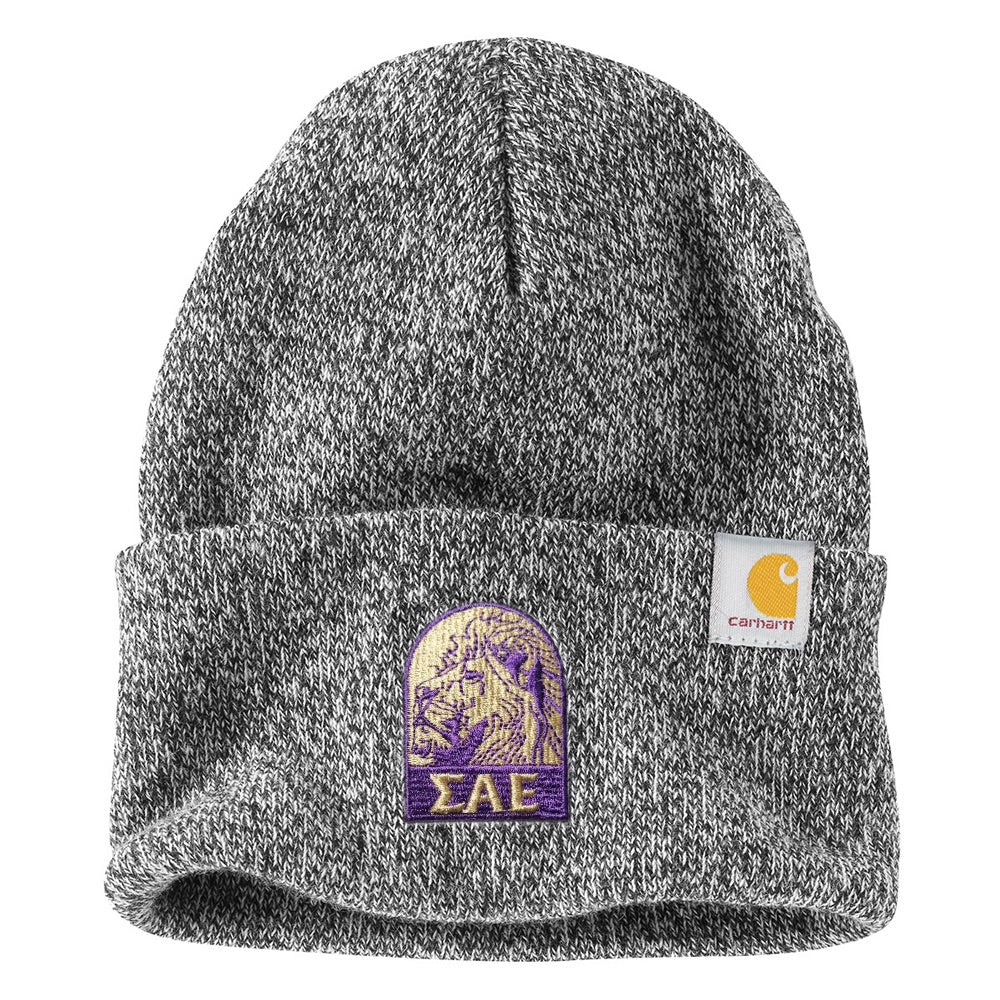 OUTDOORS COLLECTION: SAE Beanie by Carhartt