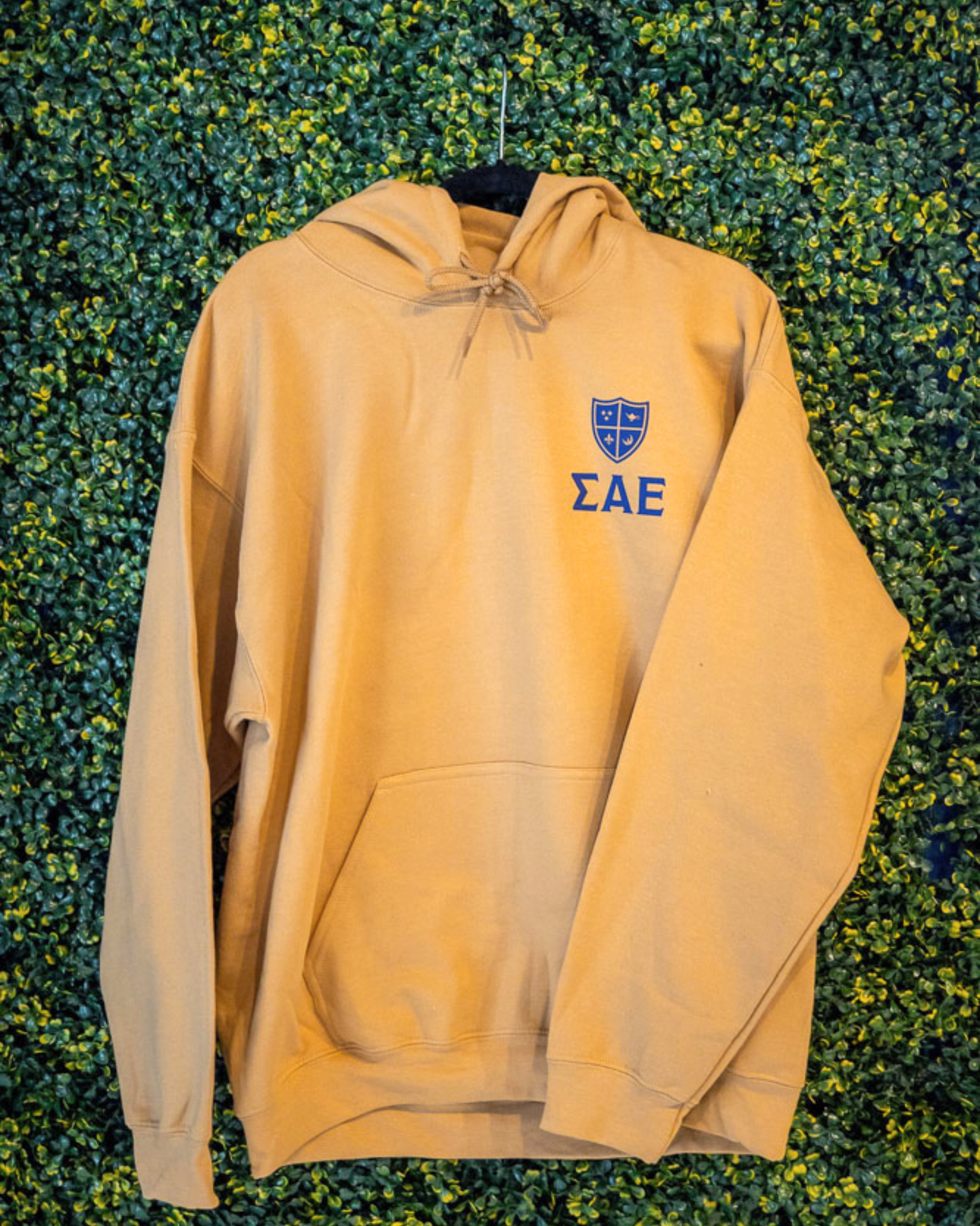 Shop By Category: Hooded Sweatshirts – The Sigma Alpha Epsilon Store