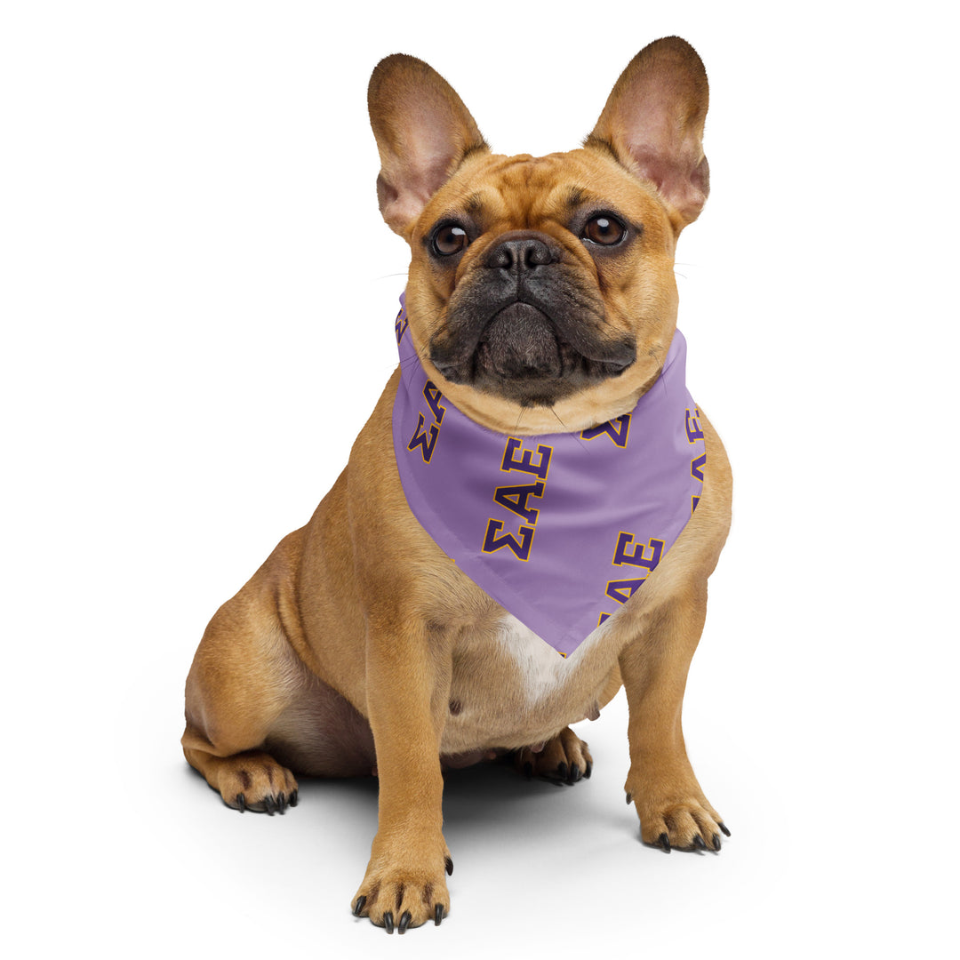 LIMITED RELEASE: SAE Bandana - The Sigma Alpha Epsilon Store