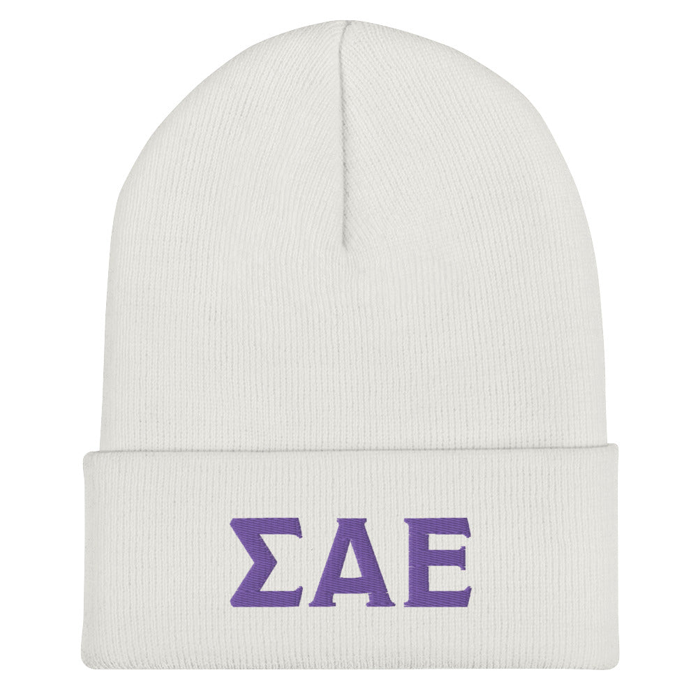 LIMITED RELEASE: SAE Cuffed Beanie - The Sigma Alpha Epsilon Store