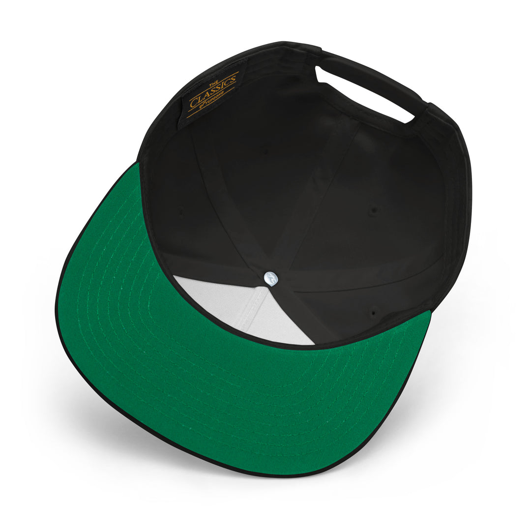 LIMITED RELEASE: SAE Retro Snapback Hat