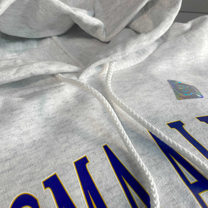 SAE Vintage Crest Hoodie - The Sigma Alpha Epsilon Store