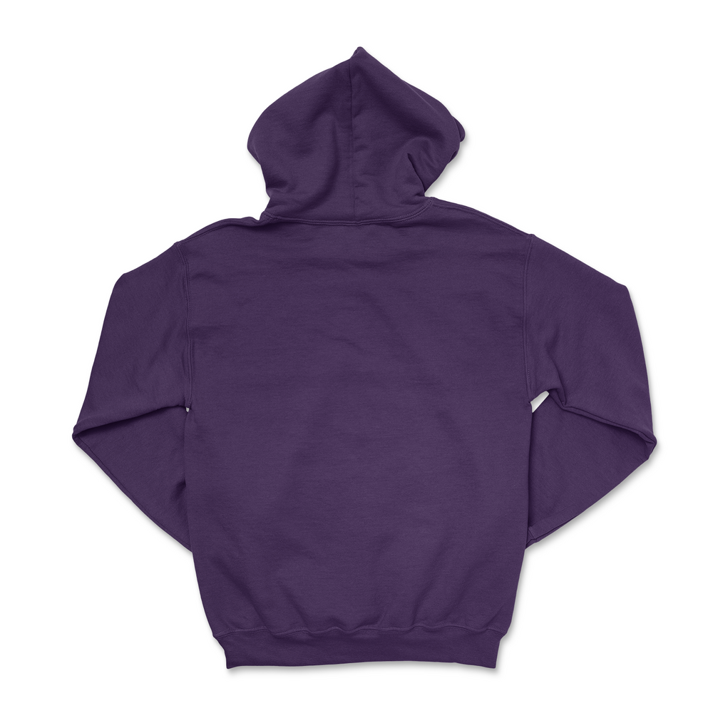 SAE College Hoodie - The Sigma Alpha Epsilon Store